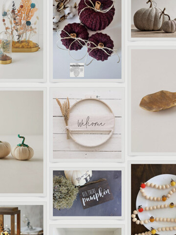 Decorate with these budget-friendly, elegant and classy fall decor finds from around the internet - from small businesses to large stores!