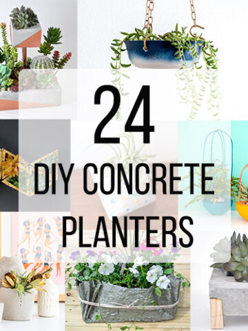 Collage of DIY concrete planters with text overlay