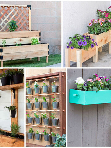 Easy beginner friendly DIY gardening ideas for small spaces.
