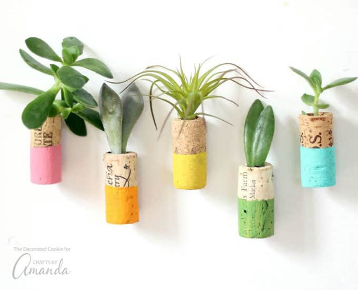 Five cork magnets with succulents makes a cute DIY gift for plant lovers