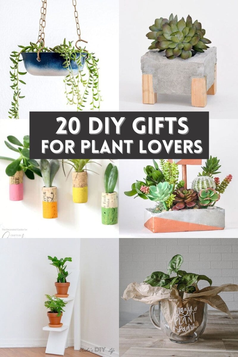 Image collage of six DIY gift for plant lovers with text overlay