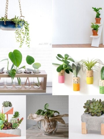 Image collage of seven DIY gifts for plant lovers