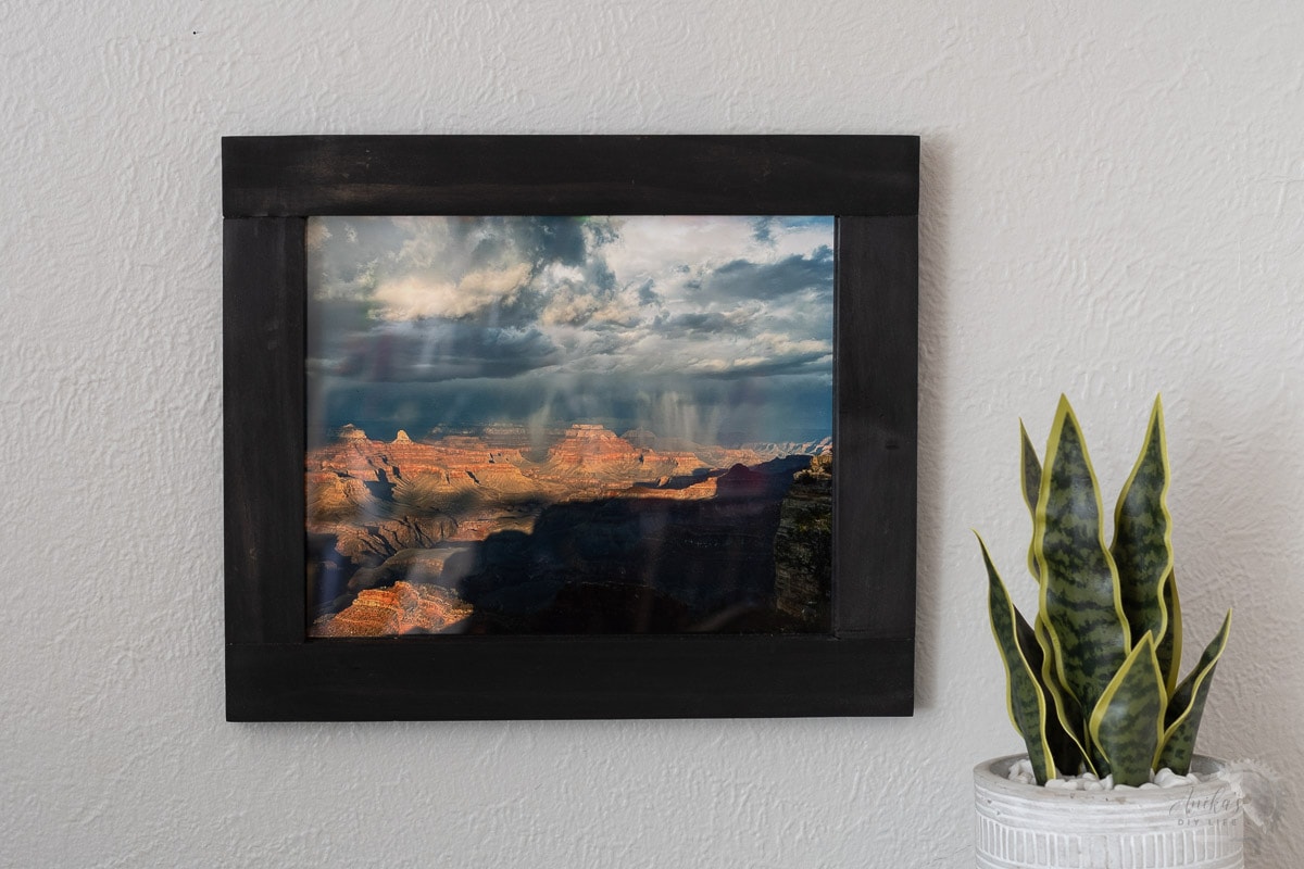 DIY picture frame displaying photograph next to a plant
