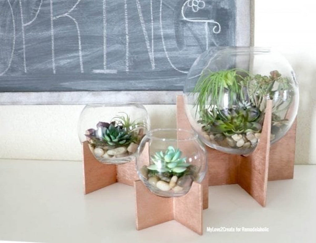 globe terrariums on scrap plywood stands