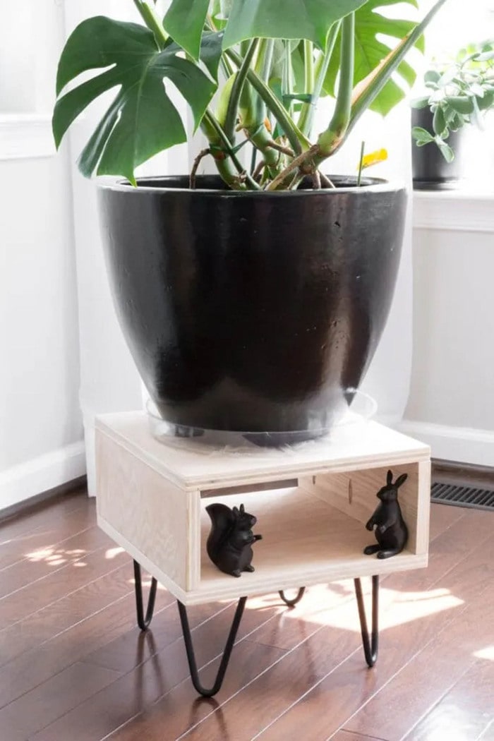 modern plant stand made from plywood with hairpin legs