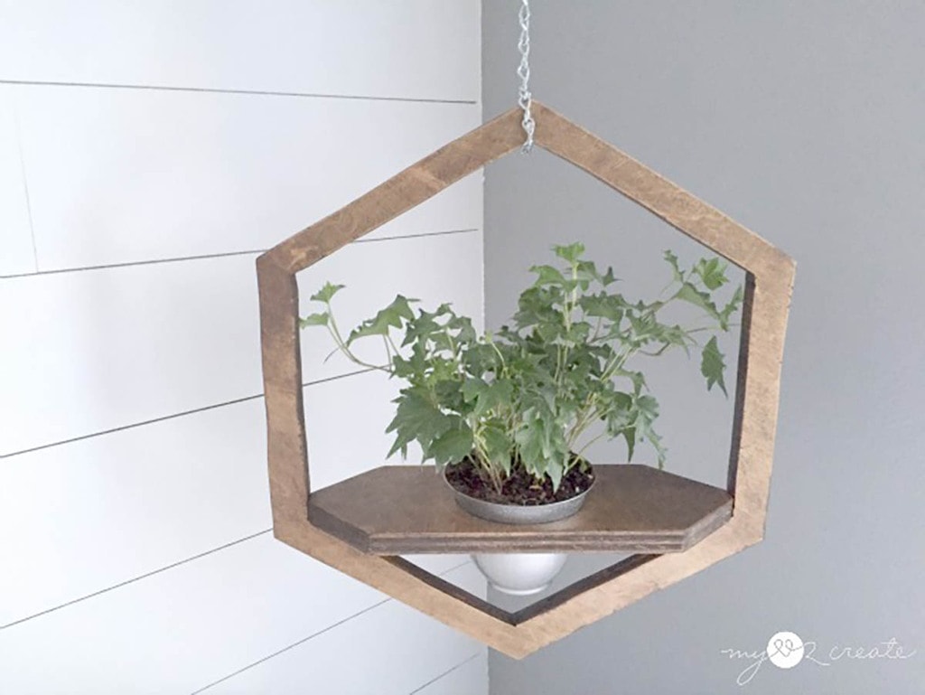 hexagon hanging planter with plant