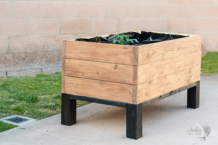 Wooden DIY planter box with self-watering system in backyard