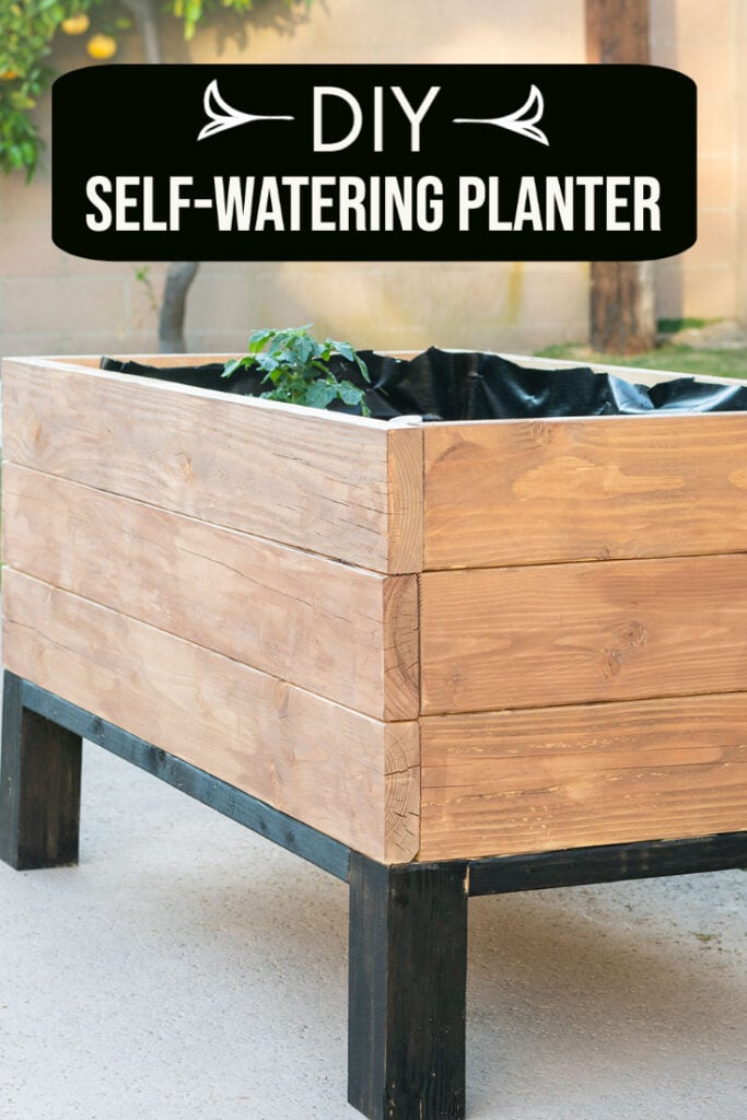 Self-watering-raised garden bed in backyard with text overlay