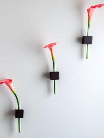 Learn to make this easy DIY test tube bud vase using small pieces of scrap wood. Great quick project that makes gorgeous decor mounted on the wall!