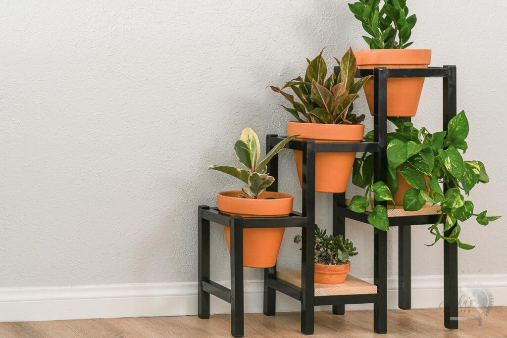 Black metal plant stand with terracota pots and plants