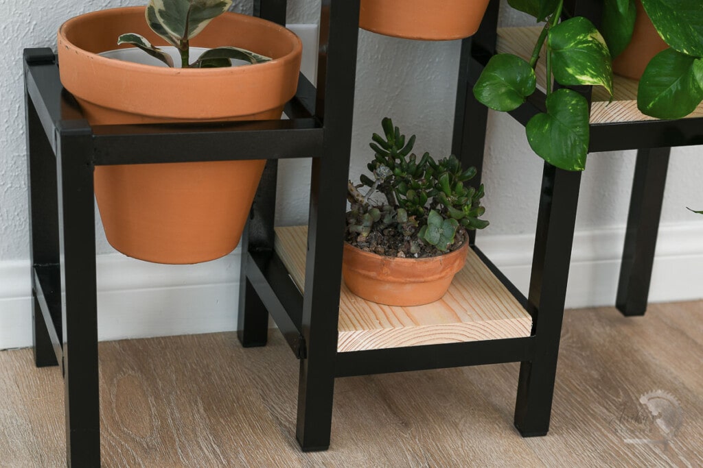close up of the bottom level of the plant stand with wood slab and small plant