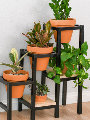 Learn how to build a DIY tiered metal plant stand using aluminum brazing with a blow torch with detailed tutorial, video and plans. It makes a great display for all your plants!