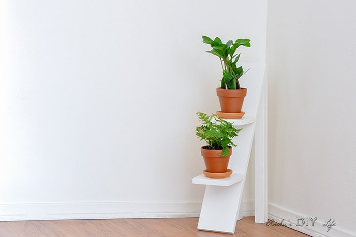 DIY tiered plant stand with 2 small plants