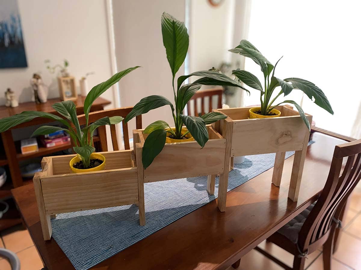 wooden planter on dining table with plants in it.
