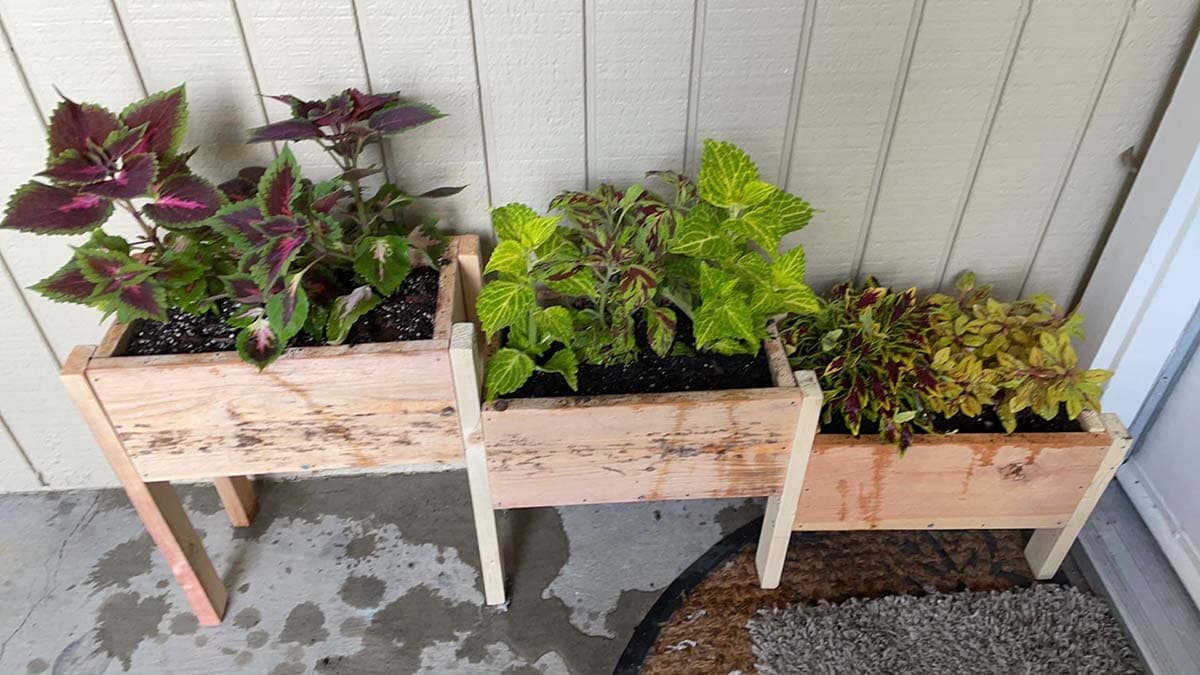 tiered planter with plants on patio